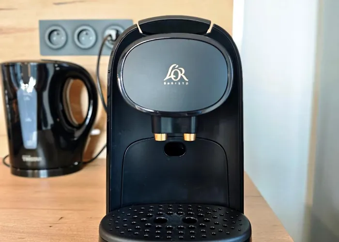 Le Bleuet - Parking Privatif - 5mn A Pied Du Aix-les-Bains