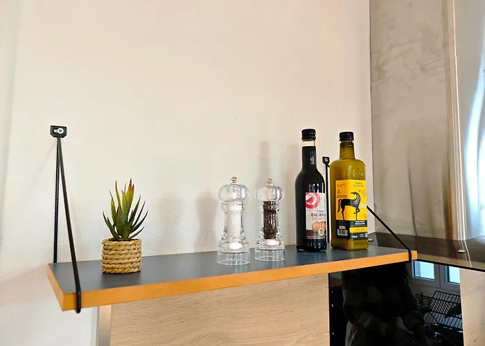 Le Bleuet - Parking Privatif - 5mn A Pied Du Aix-les-Bains